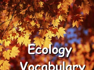 Ecology  Vocabulary 