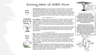 Ecology Walk Example Brochure