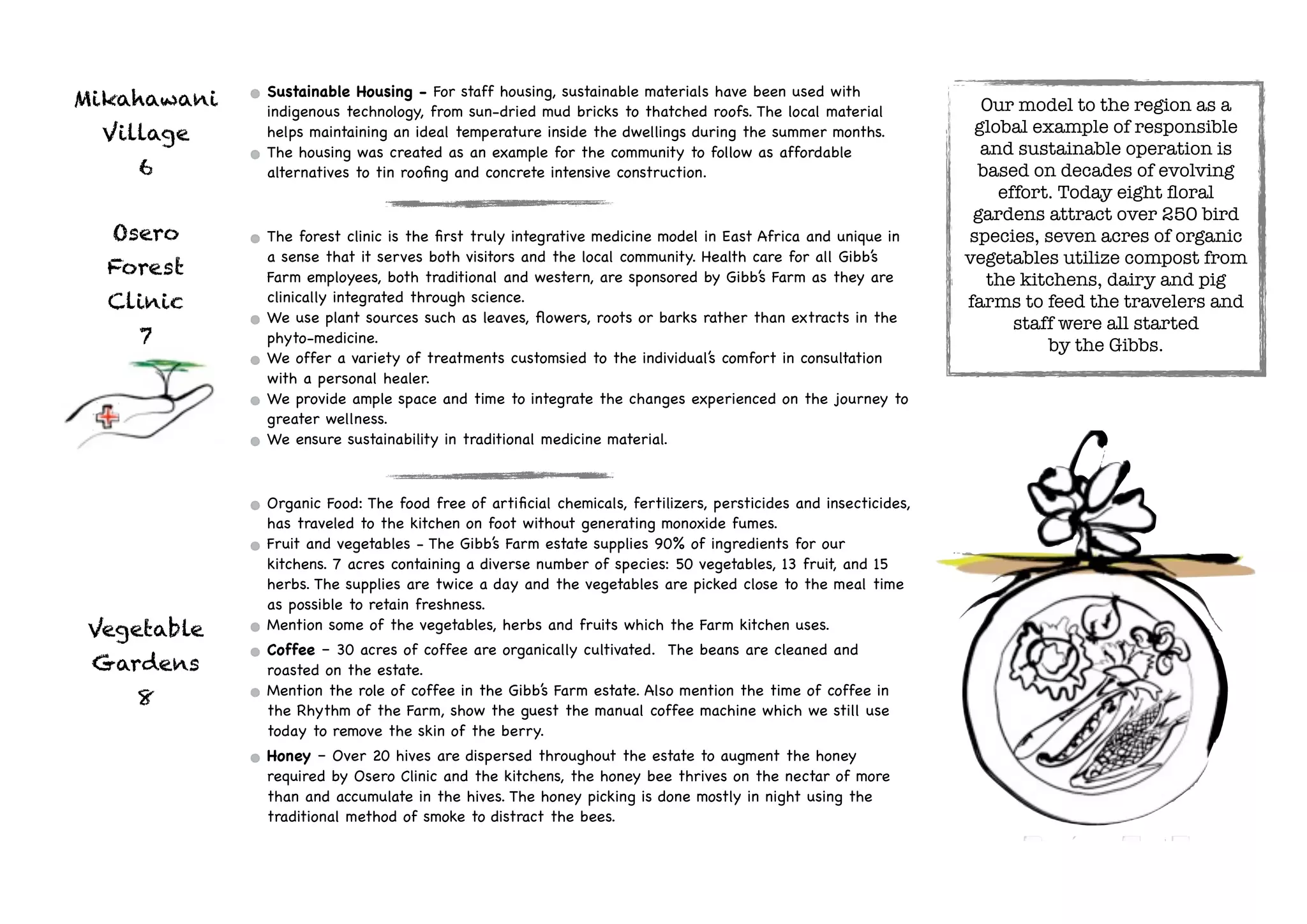 Ecology Walk Example Brochure | PDF