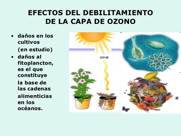 El aro gimnástico el adelgazamiento