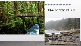 Olympic National Park
 