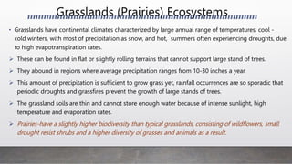 Grasslands (Prairies) Ecosystems
• Grasslands have continental climates characterized by large annual range of temperatures, cool -
cold winters, with most of precipitation as snow, and hot, summers often experiencing droughts, due
to high evapotranspiration rates.
 These can be found in flat or slightly rolling terrains that cannot support large stand of trees.
 They abound in regions where average precipitation ranges from 10-30 inches a year
 This amount of precipitation is sufficient to grow grass yet, rainfall occurrences are so sporadic that
periodic droughts and grassfires prevent the growth of large stands of trees.
 The grassland soils are thin and cannot store enough water because of intense sunlight, high
temperature and evaporation rates.
 Prairies-have a slightly higher biodiversity than typical grasslands, consisting of wildflowers, small
drought resist shrubs and a higher diversity of grasses and animals as a result.
 