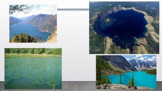 Ecolosystems in PNW.pptx