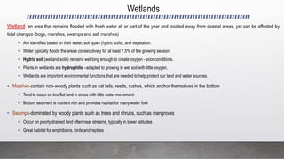 Wetlands
Wetland- an area that remains flooded with fresh water all or part of the year and located away from coastal areas, yet can be affected by
tidal changes (bogs, marshes, swamps and salt marshes)
• Are identified based on their water, soil types (hydric soils), and vegetation.
• Water typically floods the areas consecutively for at least 7.5% of the growing season.
• Hydric soil (wetland soils) remains wet long enough to create oxygen –poor conditions.
• Plants in wetlands are hydrophilic –adapted to growing in wet soil with little oxygen.
• Wetlands are important environmental functions that are needed to help protect our land and water sources.
• Marshes-contain non-woody plants such as cat tails, reeds, rushes, which anchor themselves in the bottom
• Tend to occur on low flat land in areas with little water movement
• Bottom sediment is nutrient rich and provides habitat for many water fowl
• Swamps-dominated by woody plants such as trees and shrubs, such as mangroves
• Occur on poorly drained land often near streams, typically in lower latitudes
• Great habitat for amphibians, birds and reptiles
 