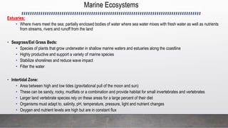 Marine Ecosystems
Estuaries:
• Where rivers meet the sea; partially enclosed bodies of water where sea water mixes with fresh water as well as nutrients
from streams, rivers and runoff from the land
• Seagrass/Eel Grass Beds:
• Species of plants that grow underwater in shallow marine waters and estuaries along the coastline
• Highly productive and support a variety of marine species
• Stabilize shorelines and reduce wave impact
• Filter the water
• Intertidal Zone:
• Area between high and low tides (gravitational pull of the moon and sun)
• These can be sandy, rocky, mudflats or a combination and provide habitat for small invertebrates and vertebrates
• Larger land vertebrate species rely on these areas for a large percent of their diet
• Organisms must adapt to, salinity, pH, temperature, pressure, light and nutrient changes
• Oxygen and nutrient levels are high but are in constant flux
 