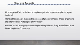 Plants vs Animals
• All energy on Earth is derived from photosynthetic organisms (plants, algae,
bacteria).
• Plants obtain energy through the process of photosynthesis. These organisms
are referred to as Autotrophs or Producers
• Animals obtain energy by consuming other organisms. They are referred to as
Heterotrophs or Consumers.
 