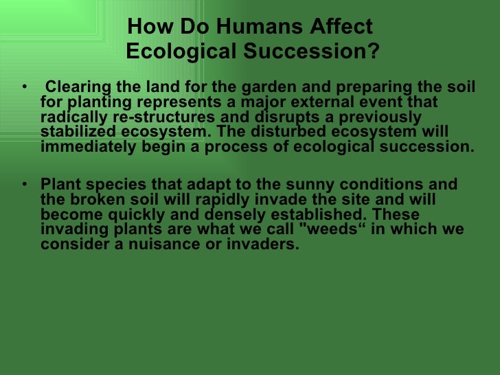 Ecological succession