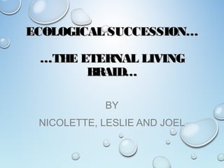 ECOLOGICAL SUCCESSION…ECOLOGICAL SUCCESSION…
…THE ETERNAL LIVING…THE ETERNAL LIVING
BRAID…BRAID…
BY
NICOLETTE, LESLIE AND JOEL
 