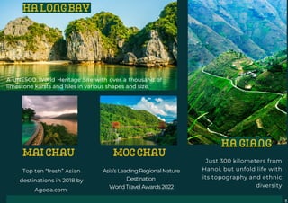Ecolux-Vietnam-Brochure.pdf