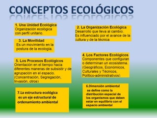 6.Dimensión ambiental
                             se define como la
7.La estructura ecológica   distribución espacial de
es un eje estructural de    los organismos que deben
ordenamiento ambiental      estar en equilibrio con el
                            espacio ambiental
 