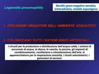 Bacillo gram-negativo aerobio,
Legionella pneumophilia                    intracellulare, mobile asporigeno




1. ORGANISMI UBIQUITARI DELL’AMBIENTE ACQUATICO



2. COLONIZZANO TUTTI I SISTEMI IDRICI ARTIFICIALI:
  I circuiti per la produzione e distribuzione dell’acqua calda, i sistemi di
      accumulo di acqua, le docce, le vasche, le piscine, gli impianti di
        condizionamento, ventilazione e climatizzazione dell’aria, le
    apparecchiature per la respirazione assistita, i riuniti odontoiatrici, i
                             generatori di aerosol.
 