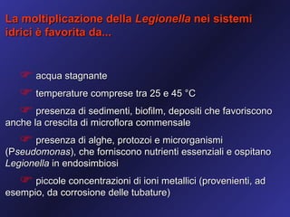 La moltiplicazione della Legionella nei sistemi
idrici è favorita da...


    acqua stagnante
    temperature comprese tra 25 e 45 °C
    presenza di sedimenti, biofilm, depositi che favoriscono
anche la crescita di microflora commensale
    presenza di alghe, protozoi e microrganismi
(Pseudomonas), che forniscono nutrienti essenziali e ospitano
Legionella in endosimbiosi
    piccole concentrazioni di ioni metallici (provenienti, ad
esempio, da corrosione delle tubature)
 
