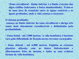 Zona circalitoral - limite inferior é o limite extremo das algas ciáfilas (tolerantes a baixa luminosidade). Trata-se de uma área de transição entre as águas costeiras e as águas profundas, onde a vida começa a escassear. O sistema profundo: começa no limite inferior da zona circalitoral e abriga três zonas mais claramente reconhecíveis e delimitadas pela profundidade: Zona batial - até 2.000 metros. A vida bentônica é bastante rara pela dificuldade de fixação nesses terrenos escarpados. Zona abissal - até 6.000 metros. Engloba as extensas planícies abissais, com as fontes hidrotermais e afloramentos frios de metano e todas as suas exóticas formas de vida bentônica. 