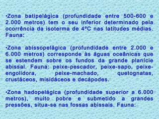 Zona batipelágica (profundidade entre 500-600 e 2.000 metros) tem o seu inferior determinado pela ocorrência da isoterma de 4ºC nas latitudes médias. Fauna:  Zona abissopelágica (profundidade entre 2.000 e 6.000 metros) corresponde às águas oceânicas que se estendem sobre os fundos da grande planície abissal. Fauna: peixe-pescador, peixe-sapo, peixe-engolidora, peixe-machado, quetognatas, crustáceos, misidáceos e decápodes.  Zona hadopelágica (profundidade superior a 6.000 metros), muito pobre e submetido a grandes pressões, situa-se nas fossas abissais. Fauna:  