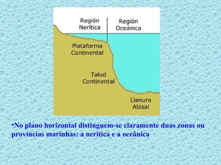 No plano horizontal distinguem-se claramente duas zonas ou províncias marinhas: a nerítica e a oceânica 