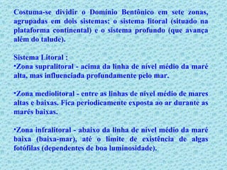 Costuma-se dividir o Domínio Bentônico em sete zonas, agrupadas em dois sistemas: o sistema litoral (situado na plataforma continental) e o sistema profundo (que avança além do talude). Sistema Litoral : Zona supralitoral - acima da linha de nível médio da maré alta, mas influenciada profundamente pelo mar. Zona mediolitoral - entre as linhas de nível médio de mares altas e baixas. Fica periodicamente exposta ao ar durante as marés baixas. Zona infralitoral - abaixo da linha de nível médio da maré baixa (baixa-mar), até o limite de existência de algas fotófilas (dependentes de boa luminosidade).       