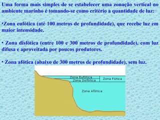 Uma forma mais simples de se estabelecer uma zonação vertical no ambiente marinho é tomando-se como critério a quantidade de luz: Zona eufótica (até 100 metros de profundidade), que recebe luz em maior intensidade. Zona disfótica (entre 100 e 300 metros de profundidade), com luz difusa e aproveitada por poucos produtores. Zona afótica (abaixo de 300 metros de profundidade), sem luz. 