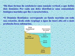 Há duas formas de estabelecer uma zonação vertical, o que define dois domínios Por cada um deles distribui-se uma comunidade biológica marinha que lhe é característica. O Domínio Bentônico: corresponde ao fundo marinho em toda sua extensão, desde onde respinga a água da maré alta até a mais profunda fossa submarina. 
