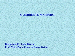 O AMBIENTE MARINHO Disciplina :Ecologia Básica Prof. MsC. Paulo Cesar de Souza Grillo 