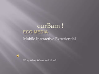 Mobile Interactive Experiential




Who, What, Where and How?
 