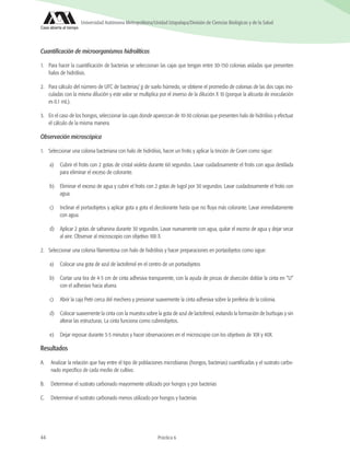 44 Práctica 6
Universidad Autónoma Metropolitana/Unidad Iztapalapa/División de Ciencias Biológicas y de la Salud
Cuantificación de microorganismos hidrolíticos
1.	 Para hacer la cuantificación de bacterias se seleccionan las cajas que tengan entre 30-150 colonias aisladas que presenten
halos de hidrólisis.
2.	Para cálculo del número de UFC de bacterias/ g de suelo húmedo, se obtiene el promedio de colonias de las dos cajas ino-
culadas con la misma dilución y este valor se multiplica por el inverso de la dilución X 10 (porque la alícuota de inoculación
es 0.1 mL).
3.	 En el caso de los hongos, seleccionar las cajas donde aparezcan de 10-30 colonias que presenten halo de hidrólisis y efectuar
el cálculo de la misma manera.
Observación microscópica
1.	 Seleccionar una colonia bacteriana con halo de hidrólisis, hacer un frotis y aplicar la tinción de Gram como sigue:
a)	 Cubrir el frotis con 2 gotas de cristal violeta durante 60 segundos. Lavar cuidadosamente el frotis con agua destilada
para eliminar el exceso de colorante.
b)	 Eliminar el exceso de agua y cubrir el frotis con 2 gotas de lugol por 30 segundos. Lavar cuidadosamente el frotis con
agua.
c)	 Inclinar el portaobjetos y aplicar gota a gota el decolorante hasta que no fluya más colorante. Lavar inmediatamente
con agua.
d)	 Aplicar 2 gotas de safranina durante 30 segundos. Lavar nuevamente con agua, quitar el exceso de agua y dejar secar
al aire. Observar al microscopio con objetivo 100 X.
2.	 Seleccionar una colonia filamentosa con halo de hidrólisis y hacer preparaciones en portaobjetos como sigue:
a)	 Colocar una gota de azul de lactofenol en el centro de un portaobjetos
b)	 Cortar una tira de 4-5 cm de cinta adhesiva transparente, con la ayuda de pinzas de disección doblar la cinta en “U”
con el adhesivo hacia afuera.
c)	 Abrir la caja Petri cerca del mechero y presionar suavemente la cinta adhesiva sobre la periferia de la colonia.
d)	 Colocar suavemente la cinta con la muestra sobre la gota de azul de lactofenol, evitando la formación de burbujas y sin
alterar las estructuras. La cinta funciona como cubreobjetos.
e)	 Dejar reposar durante 3-5 minutos y hacer observaciones en el microscopio con los objetivos de 10X y 40X.
Resultados
A.	 Analizar la relación que hay entre el tipo de poblaciones microbianas (hongos, bacterias) cuantificadas y el sustrato carbo-
nado específico de cada medio de cultivo.
B.	 Determinar el sustrato carbonado mayormente utilizado por hongos y por bacterias
C.	 Determinar el sustrato carbonado menos utilizado por hongos y bacterias
 