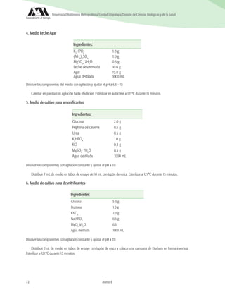 72 Anexo B
Universidad Autónoma Metropolitana/Unidad Iztapalapa/División de Ciencias Biológicas y de la Salud
4. Medio Leche Agar
Ingredientes:
K2
HPO4
1.0 g
(NH4
)2
SO4
1.0 g
MgSO4
.
7H2
O 0.5 g
Leche descremada 10.0 g
Agar 15.0 g
Agua destilada 1000 mL
Disolver los componentes del medio con agitación y ajustar el pH a 6.5 –7.0
Calentar en parrilla con agitación hasta ebullición. Esterilizar en autoclave a 121ºC durante 15 minutos.
5. Medio de cultivo para amonificantes
Ingredientes:
Glucosa 2.0 g
Peptona de caseína 0.5 g
Urea 0.5 g
K2
HPO4
1.0 g
KCl 0.3 g
MgSO4
.
7H2
O 0.5 g
Agua destilada 1000 mL
Disolver los componentes con agitación constante y ajustar el pH a 7.0
Distribuir 7 mL de medio en tubos de ensaye de 10 mL con tapón de rosca. Esterilizar a 121°C durante 15 minutos.
6. Medio de cultivo para desnitrificantes
Ingredientes:
Glucosa 5.0 g
Peptona 1.0 g
KNO3
2.0 g
Na2
HPO4
0.5 g
MgCl2
.
6H2
O 0.3
Agua destilada 1000 mL
Disolver los componentes con agitación constante y ajustar el pH a 7.0
Distribuir 7mL de medio en tubos de ensaye con tapón de rosca y colocar una campana de Durham en forma invertida.
Esterilizar a 121°C durante 15 minutos.
 