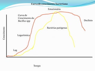 Curva de crescimento bacteriano
Lag
Logarítmica
Estacionária
Declínio
Tempo
Crescimento
Bactérias patógenas
Curva de
Crescimento do
Bacillus spp
 