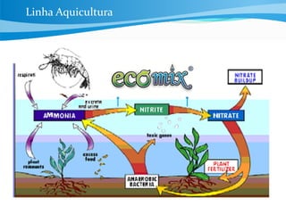 Linha Aquicultura
 
