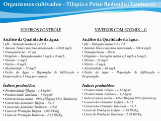 Organismos cultivados – Tilápia e Peixe Redondo (Tambacu).
VIVEIROS CONTROLE
Análise da Qualidade da água:
• pH – Variação média 6.2 e 8.2
• Amônia Tóxica máxima monitorada – 0.028 mg/L.
• Transparência – 40 cm
• Oxigênio – Variação média 2 mg/L a 8 mg/L.
• Nitrato – 5 mg/L
• Nitrito – 0 mg/L
• Alcalinidade – 12 mg/L
• Vazão de Água – Reposição de Infiltração e
Evaporação e 1 l/seg por tanque.
Índices produzidos:
• Produtividade Tilápia – 1,3 kg/m².
• Produtividade Tambacu – 1,0 kg/m²
• Sobrevivência média – 90% (Tilápia) 85% (Tambacu)
• Conversão Alimentar Tilápia – 1/1,2
• Conversão Alimentar Tambacu – 1/1,6
• Custo de Produção Tilápia - 2,08 R$/Kg
• Custo de Produção Tambacu – 2,25 R$/Kg
VIVEIROS COM ECOMIX – G
Análise da Qualidade da água:
• pH – Variação média 7.2 e 7.6
• Amônia Tóxica máxima monitorada – 0.014 mg/L.
• Transparência – 30 cm
• Oxigênio – Variação média 4,5 mg/L a 6 mg/L.
• Nitrato – 25 mg/L
• Nitrito – 0 mg/L
• Alcalinidade – 40 mg/L
• Vazão de água – Reposição de Infiltração e
Evaporação.
Índices produzidos:
• Produtividade Tilápia – 1,52 kg/m².
• Produtividade Tambacu – 1,2 kg/m²
• Sobrevivência média – 94% (Tilápia) 90% (Tambacu)
• Conversão Alimentar Tilápia – 1/1,1
• Conversão Alimentar Tambacu – 1/1,5
• Custo de Produção Tilápia - 1,88 R$/Kg
• Custo de Produção Tambacu – 2,03 R$/Kg
 