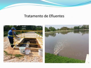 Tratamento de Efluentes
 