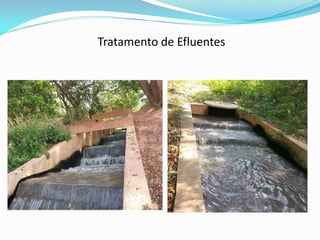 Tratamento de Efluentes
 