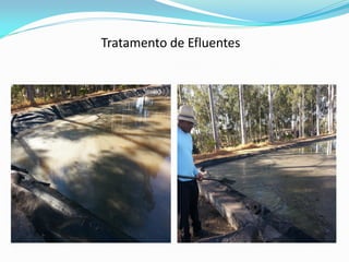Tratamento de Efluentes
 