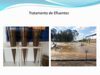 Tratamento de Efluentes
 