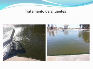 Tratamento de Efluentes
 