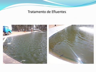 Tratamento de Efluentes
 