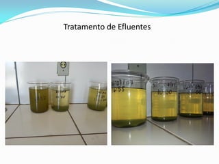Tratamento de Efluentes
 