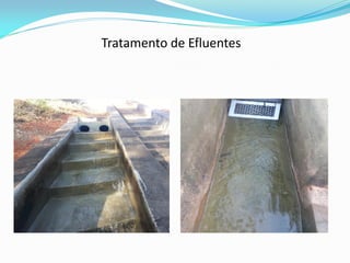 Tratamento de Efluentes
 