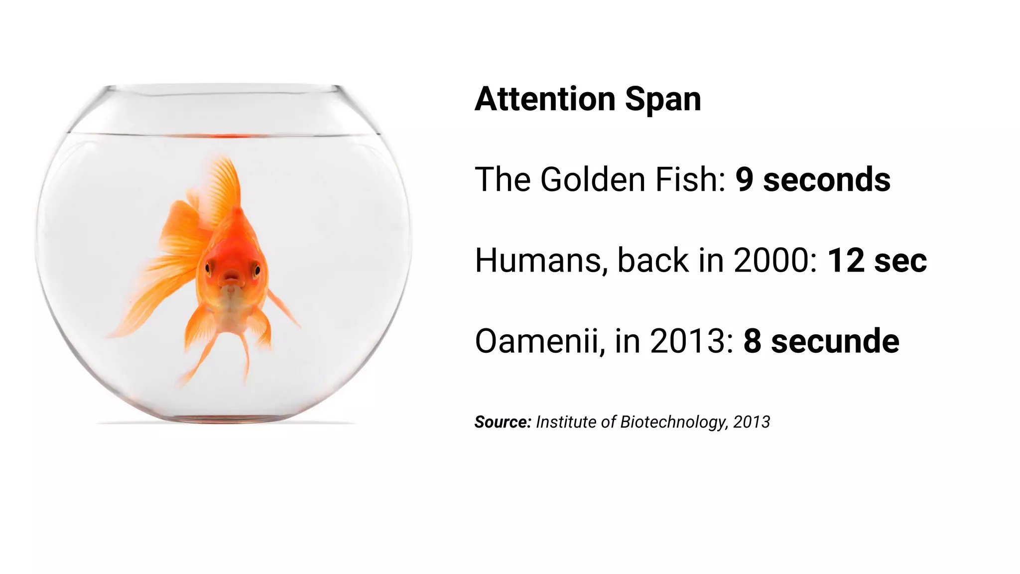 Attention Span
The Golden Fish: 9 seconds
Humans, back in 2000: 12 sec
Oamenii, in 2013: 8 secunde
Source: Institute of Biotechnology, 2013
 