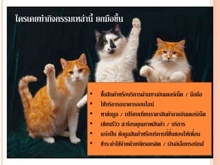 ใครเคยทากิจกรรมเหล่านี้ ยกมือขึ้น
• ซื้อสินค้าหรือบริการผ่านทางอินเตอร์เน็ต / มือถือ
• ใช้บริการธนาคารออนไลน์
• หาข้อมูล / เปรียบเทียบราคาสินค้าจากอินเตอร์เน็ต
• เขียนรีวิว สะท้อนคุณภาพสินค่า / บริการ
• แบ่งปัน ข้อมูลสินค้าหรือบริการที่ชื่นชอบให้เพื่อน
• ชาระค่าใช้จ่ายด้วยบัตรเครดิต / เงินอิเล็กทรอนิกส์
 