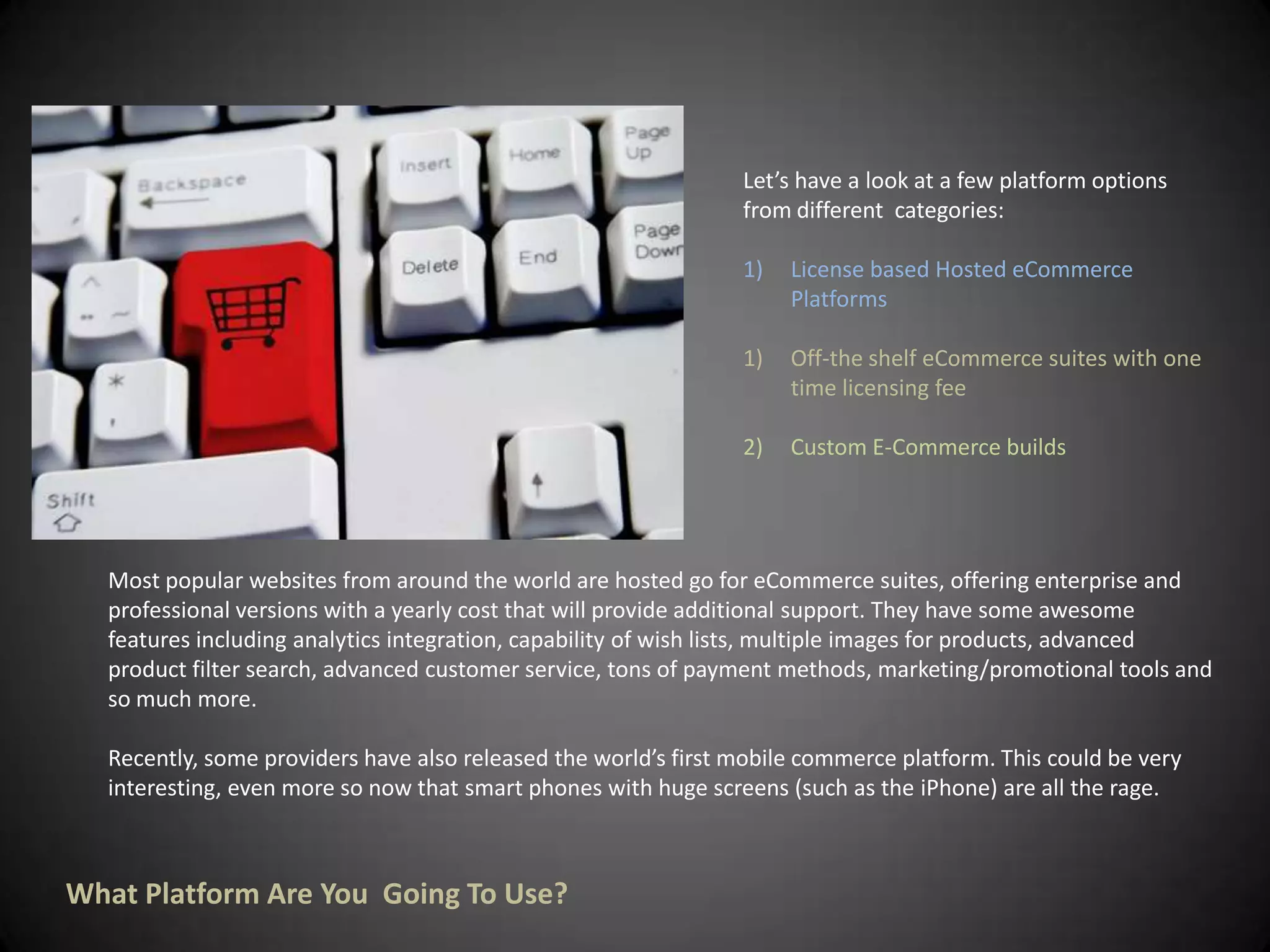  What sort of commitment are you thinking of putting into the project? 