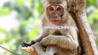 Transformação Digital nas lojas virtuais e ecommerce