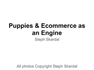 Puppies & Ecommerce as
       an Engine
            Steph Skardal




  All photos Copyright Steph Skardal
 