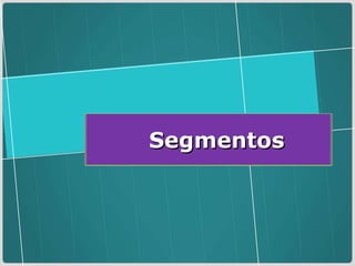 Segmentos 
