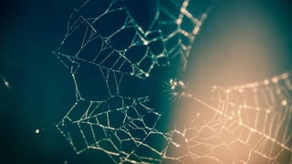 @azarchick Kristina Azarenko | #brightonSEO
| techseo.pro
 