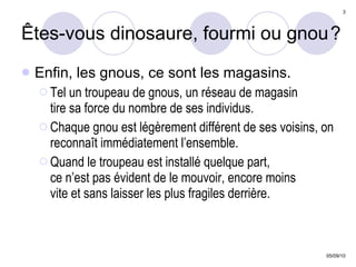 Êtes-vous dinosaure, fourmi ou gnou   ? Enfin, les gnous, ce sont les magasins. Tel un troupeau de gnous, un réseau de magasin  tire sa force du nombre de ses individus. Chaque gnou est légèrement différent de ses voisins, on reconnaît immédiatement l’ensemble. Quand le troupeau est installé quelque part,  ce n’est pas évident de le mouvoir, encore moins  vite et sans laisser les plus fragiles derrière. 