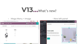 V13...What’s new?
- Mega Menu + Image - New left panel