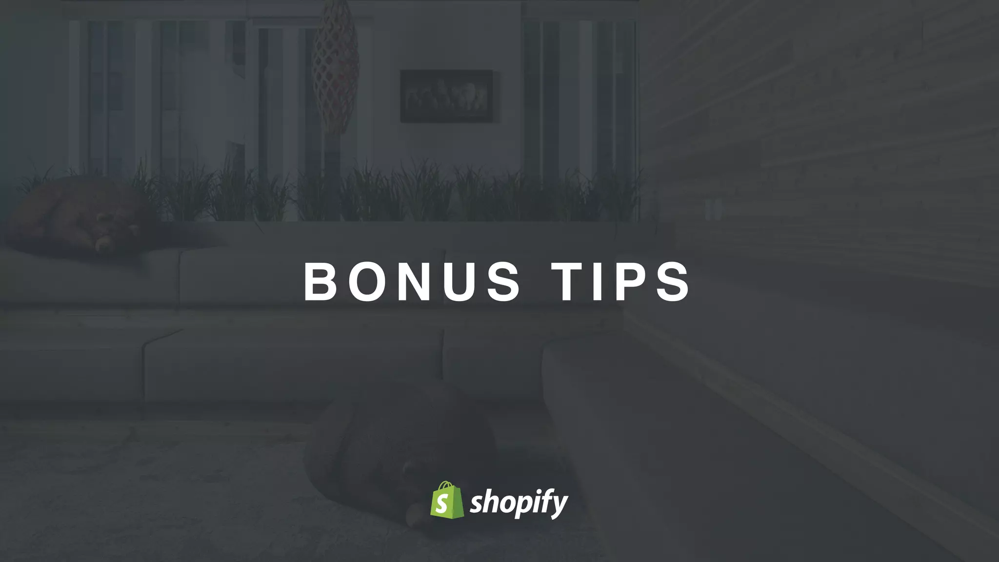 23
B O N U S T I P S
 