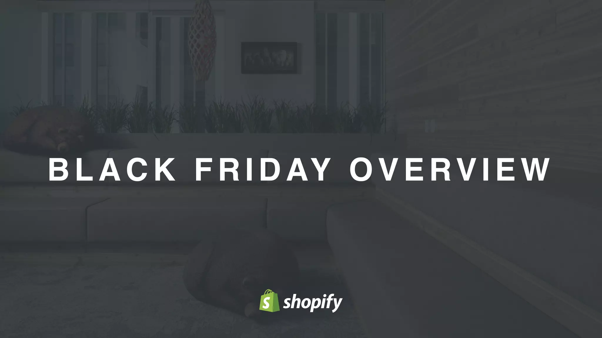 4
B L A C K F R I D AY O V E RV I E W
 