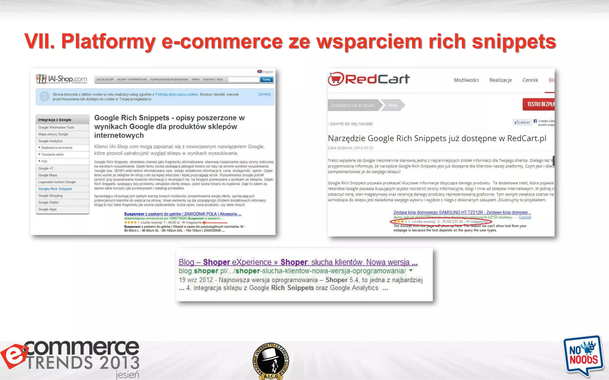 VII. Platformy e-commerce ze wsparciem rich snippets
 