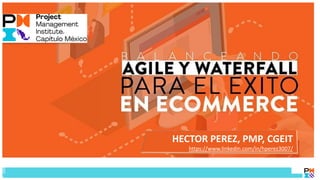 HECTOR PEREZ, PMP, CGEIT
https://www.linkedin.com/in/hperez3007/
 